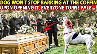 Dog Interrupts Funeral and Priest Gets Nervous Seeing It Barking at the Coffin [upl. by Dasteel543]