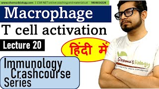 Macrophage and T cell activation in Hindi [upl. by Neelyhtak106]