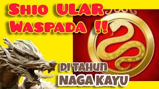 SHIO ULAR 🐍 2024  7 hal yang perlu diwaspadai di th NAGA KAYU [upl. by Oisor]