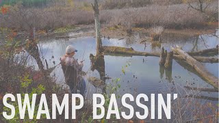 Swamp Bass Fishing  October MTB Slam Pro Edition [upl. by Marji]