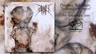 PUTRIDITY quotConceived Through Verminationquot NEW SONG 2015 [upl. by Wandis]