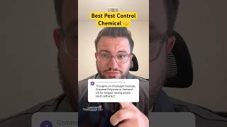 🤔 Best Pest Control Chemical shorts pestcontrol [upl. by Idnil757]