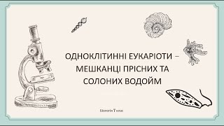 Одноклітинні еукаріоти  мешканці водойм [upl. by Yllehs]