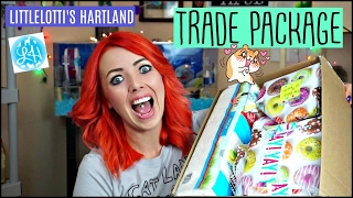 HAMSTER TRADE PACKAGE WITH LITTLELOTTIS HARTLAND  Hamster Dance 🐹 [upl. by Eilyr]