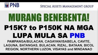 PNB LOTS FOR SALE As Low as P15K to P150K Foreclosed Properties LotsFarmResidential Areas [upl. by Trahern]