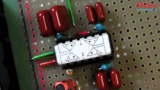 Circuit Skills 5 LED Color Organ [upl. by Annaira506]