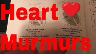 Heart Murmurs [upl. by Asaret]