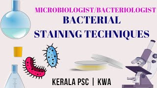 Bacterial Staining Techniques  Microbiology  Microbiologist  lab assistant Kerala Water Authority [upl. by Catharina]