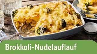 Brokkoli Nudelauflauf  REWE Deine Küche [upl. by Lecrad]