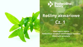 Rośliny akwariowe Cz 1 [upl. by Jesselyn]