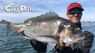 Pêche de la dorade royale avec Yoann Houssais [upl. by Yleek]