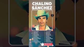 Chalino Sánchez  Alma Enamorada  Éxitos legendarios de la música shorts chalinosanchez [upl. by Thackeray]