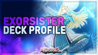 THE NEW ANTIMETA DECK  Exorsister Deck Profile ft NEW XYZ  YuGiOh [upl. by Saeger720]