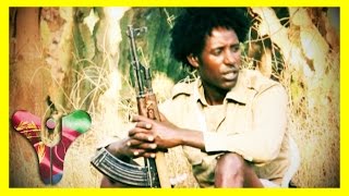 Eritrean Music Beraki Gebremedhin  Metshaf Jigninet  2015  Halenga Eritrea [upl. by Ahsiena207]