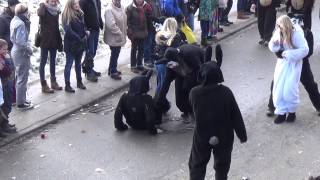 Eichwaldhörnchen Narrenzunft Waldhausen  Bühlerzell Umzug 14022015 [upl. by Aelahc]