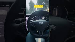 Tesla AutoPilot On Pakistani Roads [upl. by Samford]