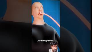 what is a tapwormdoctor didyouknow animation how mouth biology shavingtools [upl. by Ataeb]