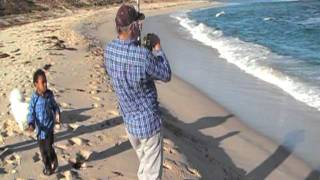 MONSTER SALMON 13 MILE BEACH HOPETOUN WESTERN AUSTRALIA [upl. by Bibah]