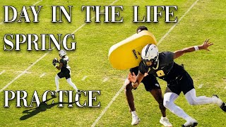 Day In The Life Of A D1 Athlete  UCF💛🖤 [upl. by Aneeb491]