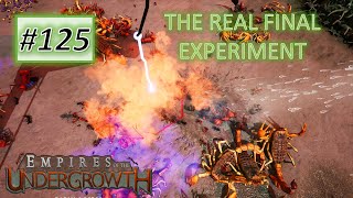 Empires of the Undergrowth 125 THE REAL FINAL  Formicarium Challenge 5 Impossible [upl. by Navak]