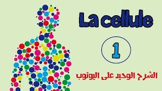 la celluleالخلية le premier épisode de lanatomie [upl. by Eseekram]