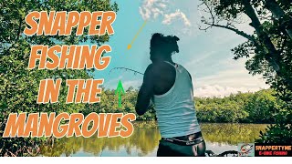 SNAPPER FISHING IN THE MANGROVES [upl. by Cartan]