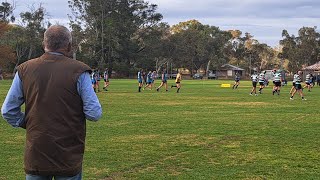 2024 NSW Country Rugby 🏉 Crookwell vs Hall [upl. by Esidnac40]