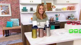 Primula Double Wall Stainless Steel Wine Chiller on QVC [upl. by Nixie]