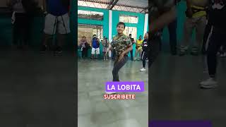 EL DESTRABE DE LA LOBAmusic cumbia humor [upl. by Vilma142]