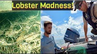 Hundreds of Lobster in Shallow Water 10 Minute Limit and a Visit from the FWC [upl. by Romeo]