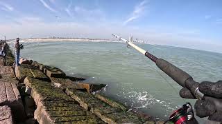 Fishing South Padre Island Jetties [upl. by Malkin]