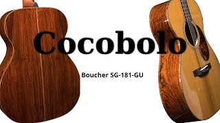 Boucher SG181GU  Cocobolo Acoustic Guitar [upl. by Onaicul756]