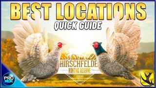 Where to find Pheasants on Hirschfelden 2023 Hotspot Map Included  theHunter Call of the Wild [upl. by Florenza459]