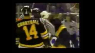 Boston Bruins Never Rattle a Bears Cage [upl. by Cirted]