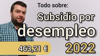 SUBSIDIO POR DESEMPLEO Ayuda 2022 Cómo solicitarlo [upl. by Ativad309]