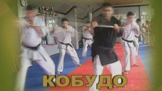 hanshi Tadashi Yamashitapart 1of 4seminar2005 Suibukan Bulgaria [upl. by Ecirb]