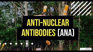 ANA Test Results Interpreting Your AntiNuclear Antibody Levels [upl. by Ahsad254]