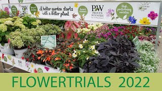 Flowertrials 2022  Neuheiten amp Konzepte von Kientzler Jungpflanzen [upl. by Yhcir949]