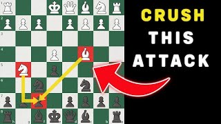 DESTROY The Fried Liver Attack IN 7 MOVES The Traxler CounterAttack [upl. by Nurse]