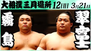 大相撲 霧島ー翠富士 ＜令和６年三月場所・１２日目＞SUMO [upl. by Rocky]