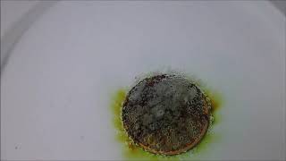 Coin in peracetic acid reaction [upl. by Dominga]