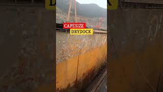 CAPESIZE DRYDOCK reels trending buhayofw seaman [upl. by Ojeillib146]