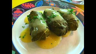 Greek Dolmades with Avgolemono Sauce Recipe  Episode  132 [upl. by Wyatan]