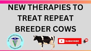 Discover New Ways to Cure Cows Struggling to Get Pregnant [upl. by Isnam]