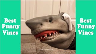 1 Hour of Shark Puppet Tik Tok 2024  Best Shark Puppet Tik Tok [upl. by Lanae]