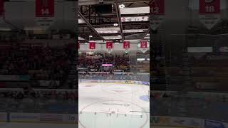 Drummondville Voltigeurs 20242025 goal horn live [upl. by Ennywg]