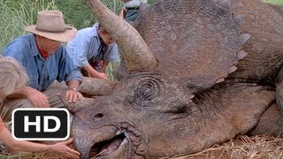 Jurassic Park 310 Movie CLIP  The Sick Triceratops 1993 HD [upl. by Finnegan]