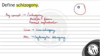 Define schizogony [upl. by Heber215]