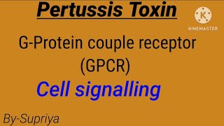 Pertussis Toxin  GPCR  Cell signalling  life science [upl. by Reifnnej284]