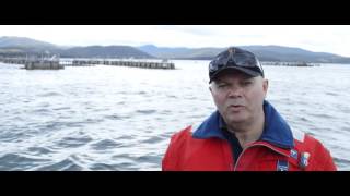 Salmon Growing in Tasmania [upl. by Inoj]